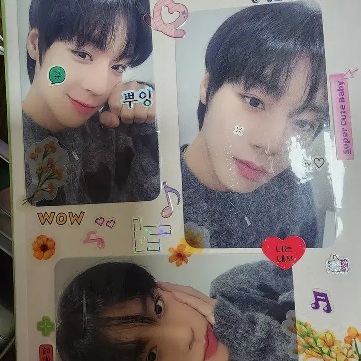 [BUNJANG] Park Jihoon Birthday Cafe Photocard Set / 박지훈 생카 포카 3장