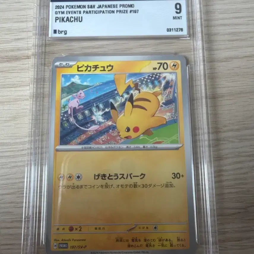 [BUNJANG] Pokemon Card 2024 Gym Promo Pikachu / 포켓몬카드 2024 짐프로모 피카츄 판매