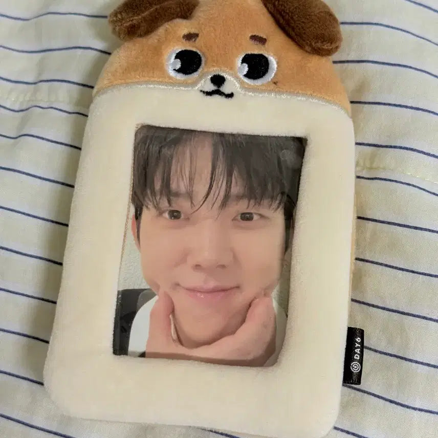 [BUNJANG] DENIMALS Don Luggage Tag Photocard Holder + Dowoon Agunbbang Photocard Bundle Set / 일괄) 데니멀즈 러기지택 포카홀더+데이식스 도운 아궁빵 포카