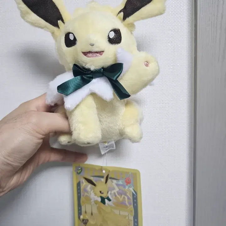 [BUNJANG] Pokemon Eevee Collection Jolteon Plush / 포켓몬 이브이 컬렉션 쥬피썬더