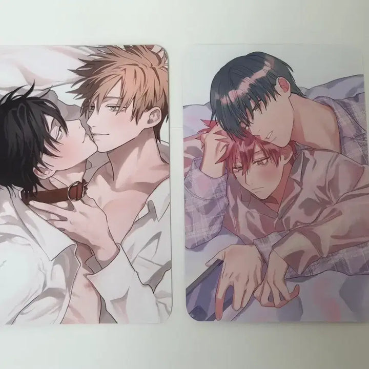 [BUNJANG] Nocori Novel "The Perfect Master" Event Photocard / 양도) nocori 훈남 동료는 포카 이상적 주인님  리디 노코리 1차 비엘 bl