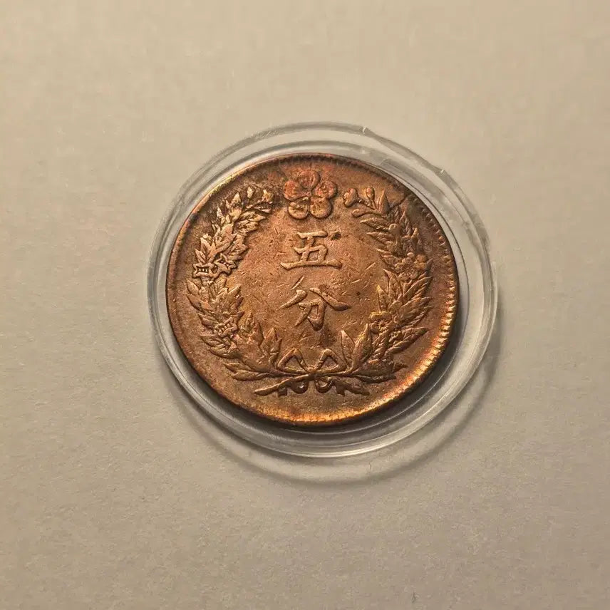 [BUNJANG] Lot of 5 Korean Old Coins (501-505, Gwangmu 2) - Used Condition / 5푼 동전 개국501년~광무2년 사용제 줄세우기 5점 일괄