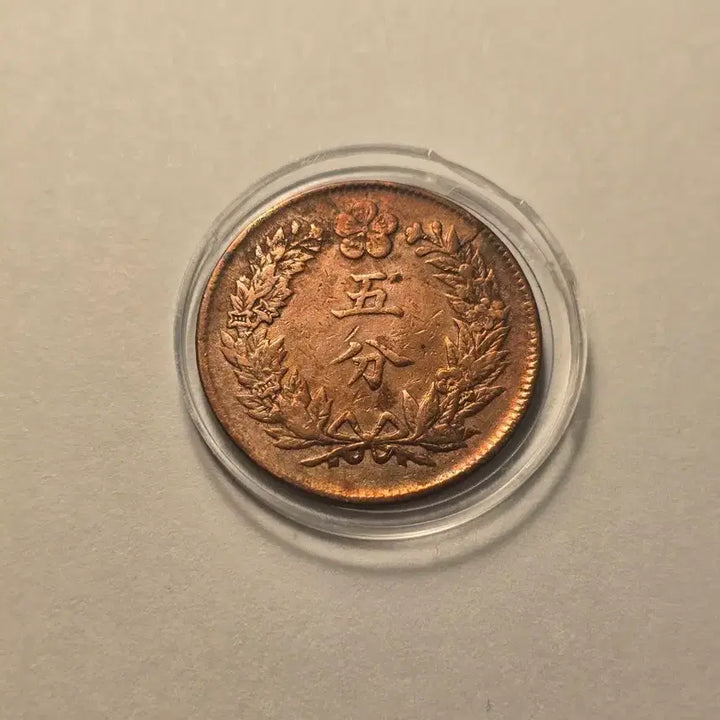 [BUNJANG] Lot of 5 Korean Old Coins (501-505, Gwangmu 2) - Used Condition / 5푼 동전 개국501년~광무2년 사용제 줄세우기 5점 일괄