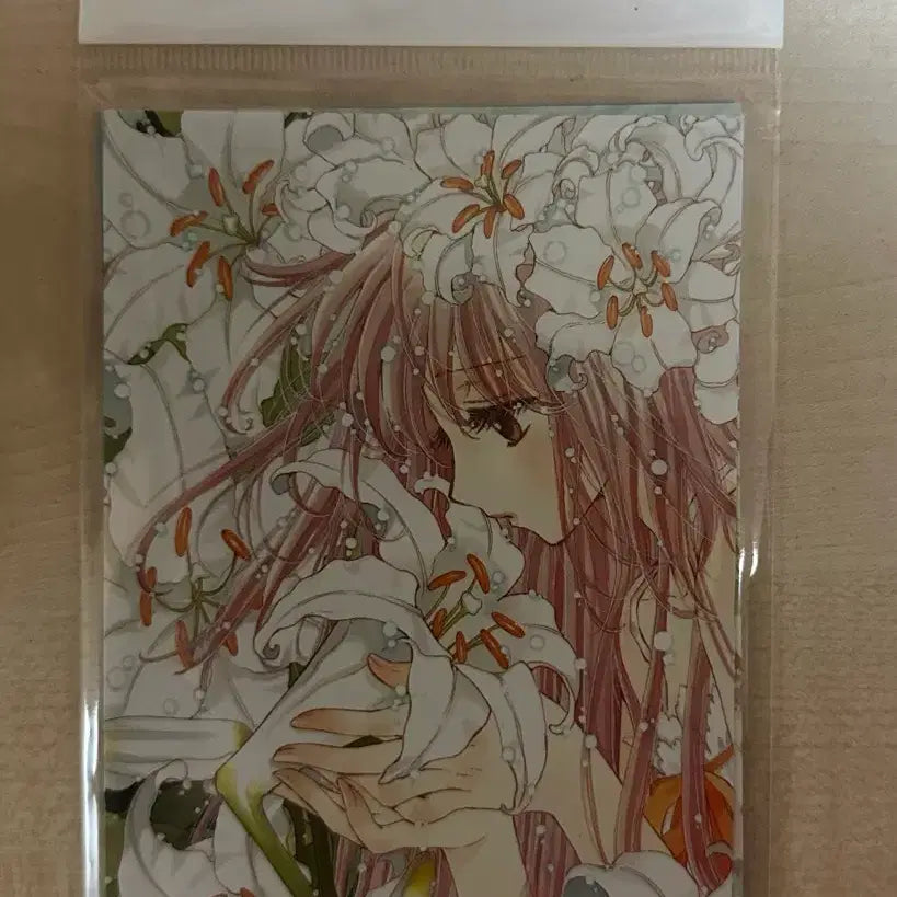 [BUNJANG] Clamp Exhibition Postcard Set B (Sealed) / (미개봉) 클램프 전시 엽서 세트 B 판매
