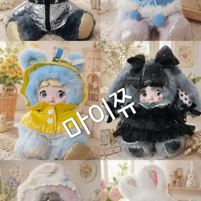 [BUNJANG] Nomi Weather Full Box Set (6 pcs) / 노미 날씨 풀박스6개
