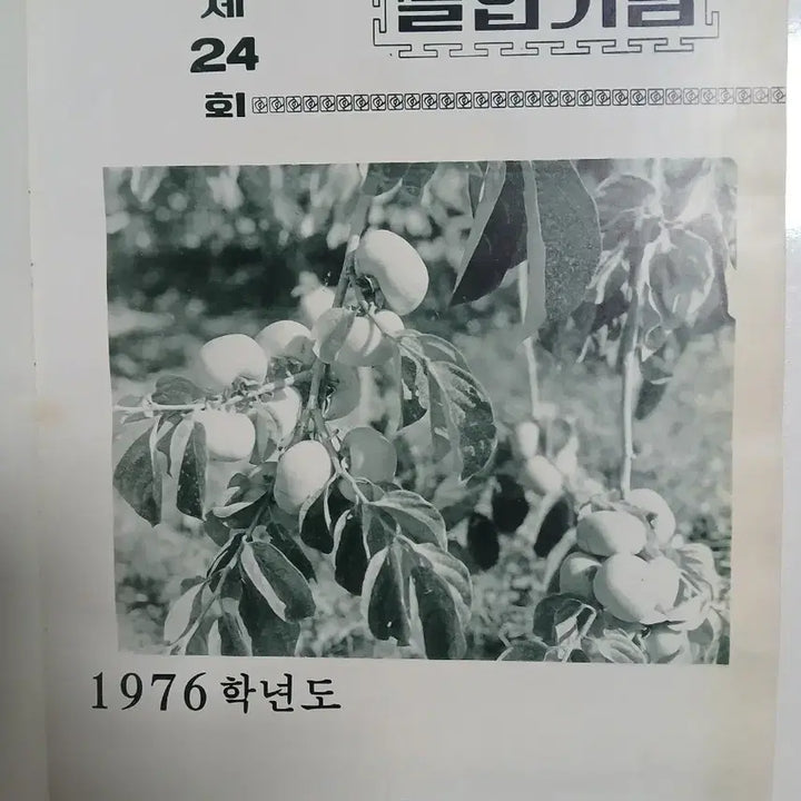 [BUNJANG] 1977 Mukho Middle School &amp; 1980 Mukho Comprehensive High School Graduation Albums / 근대사 묵호중학교.묵호종합고등학교 앨범