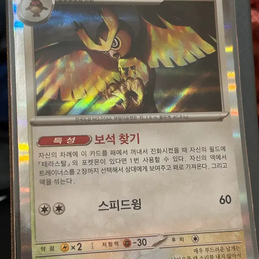 [BUNJANG] Pokemon Card Noctowl R Mirror Holofoil / 포켓몬카드 야부엉 R 미러 홀로그램