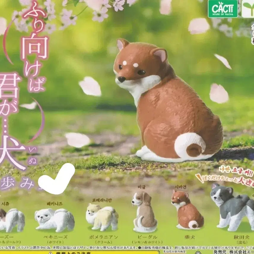 [BUNJANG] Dog Gachapon Capsule Toy with Freebies / 강아지 가챠 캡슐토이 + 덤