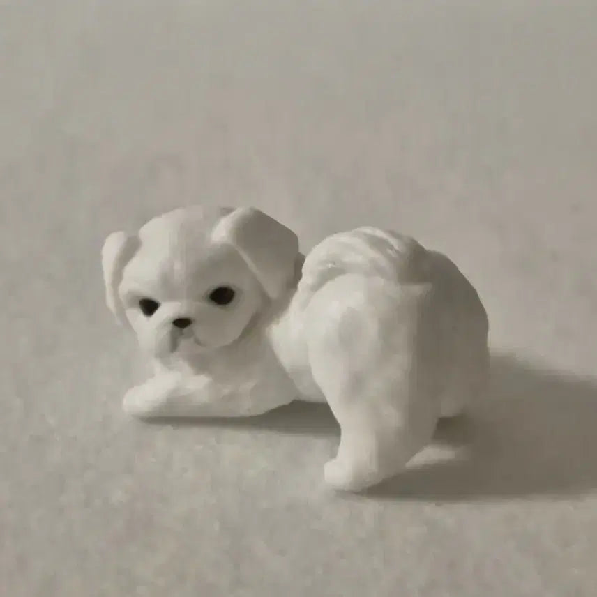 [BUNJANG] Dog Gachapon Capsule Toy with Freebies / 강아지 가챠 캡슐토이 + 덤
