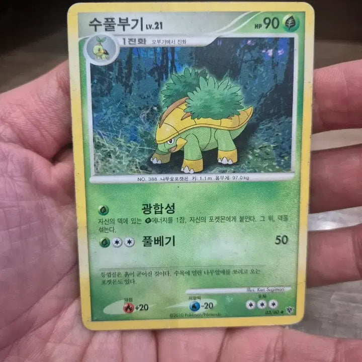 [BUNJANG] Bulbasaur DP Series 1 Pokémon Card / 수풀부기 DP 포켓몬카드