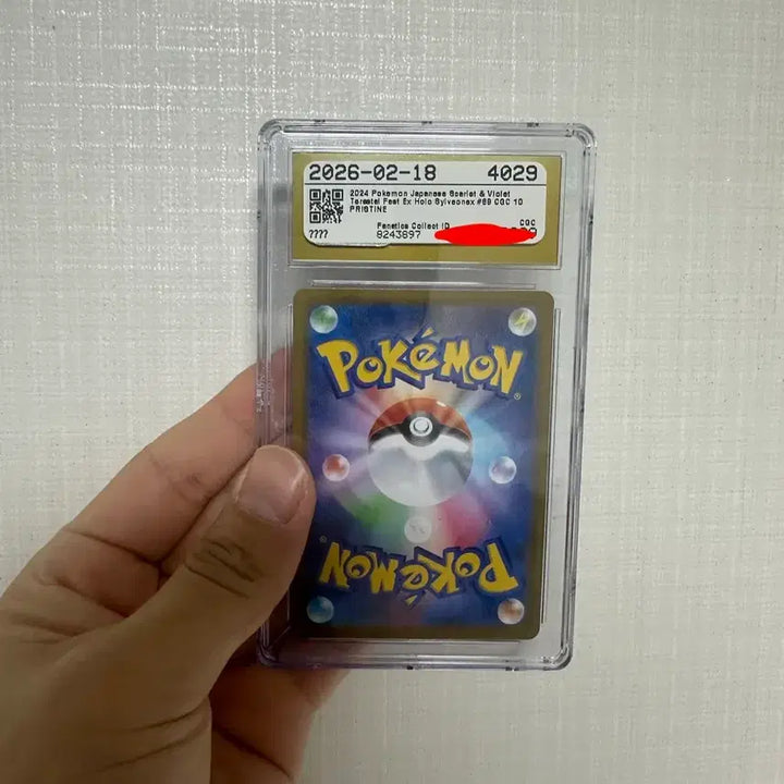 [BUNJANG] Nymphia ex Terastal Festa (Japan) CGC 10 Pristine / [CGC10 pristine] 님피아ex 테라스탈페스타(일판)