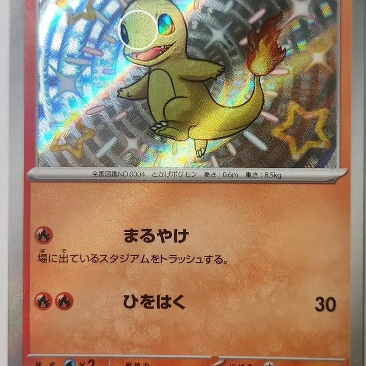[BUNJANG] Pokemon Shiny Charizard, Charmander Bundle Set / [일판] 이로치 파이리, 리자몽 일괄! (샤이니트레져)