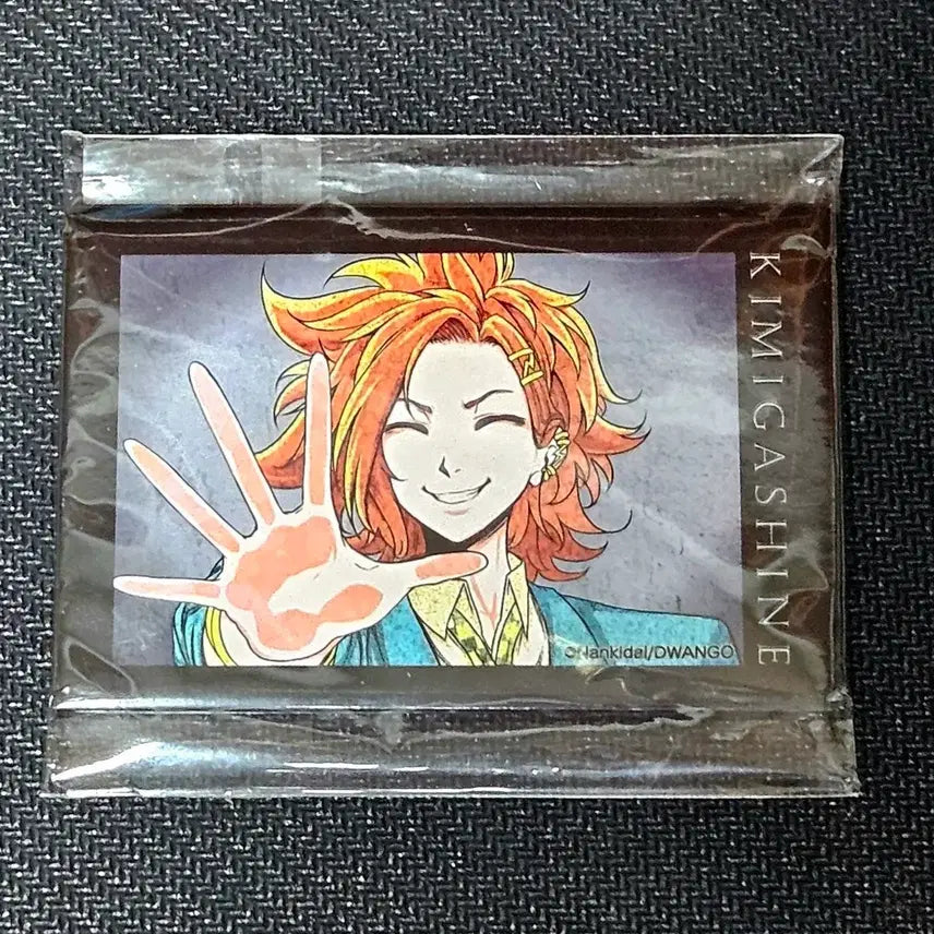 [BUNJANG] Kimi ga Shine Round Badge / 네가죽어 키미가시네 죠 캔뱃지 쿠지