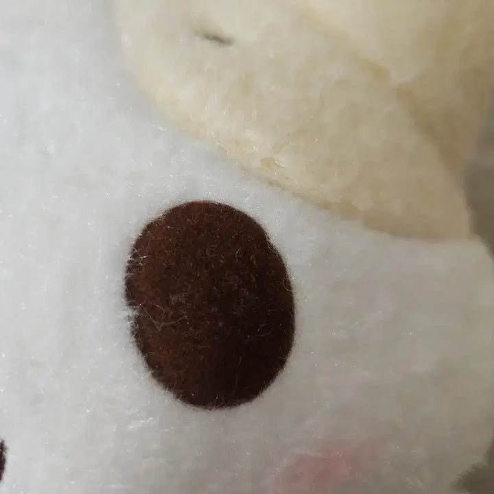 [BUNJANG] Sanrio Marshmallow Medium Plush (25cm) / 산리오마슈마로인형25cm 마슈마로중형