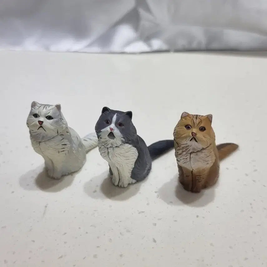 [BUNJANG] Kaiyodo Furuta Persian Cat Figure Set (3 Types) / 카이요도 후루타 페르시안 고양이 피규어 3종 생물 피규어