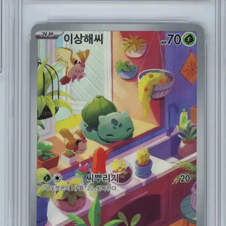 [BUNJANG] Pokemon Card Bulbasaur AR (Used) / 포켓몬카드 brg 이상해씨 ar