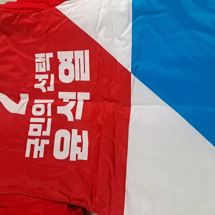 [BUNJANG] Yoon Suk-yeol 20th Presidential Election Campaign Padded Jumper &amp; Hat Set / 윤석열 20대 대선 선거운동복 패딩 점퍼 모자