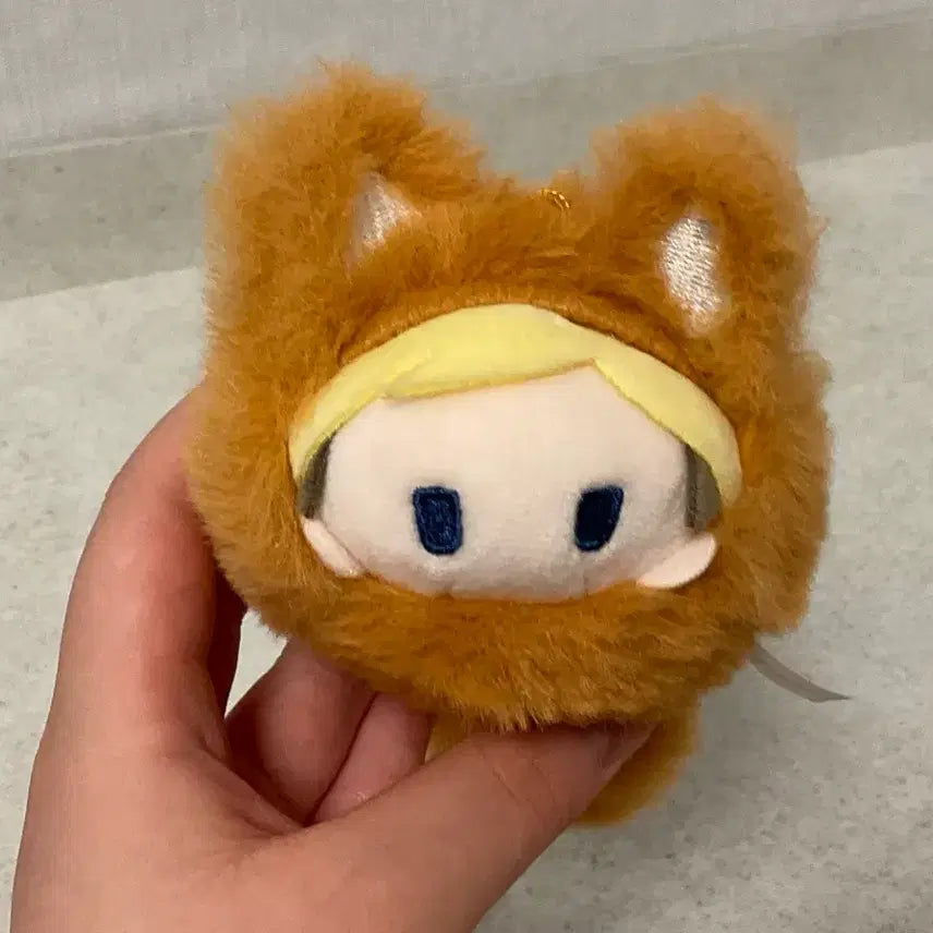 [BUNJANG] Elvin Akikitsune Tappinui Plush Toy / 엘빈 아키키츠네 타피누이