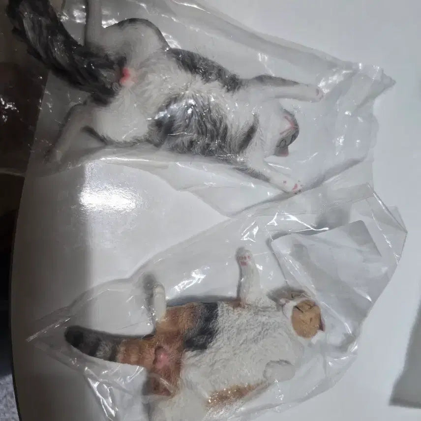[BUNJANG] Cat Figure Bundle Set / 고양이 피규어 일괄