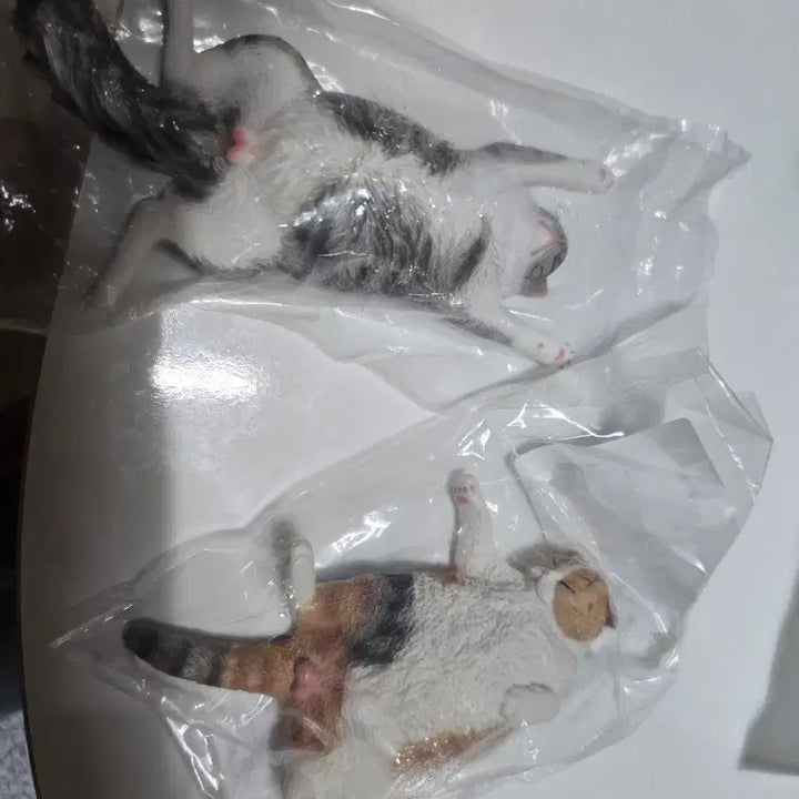 [BUNJANG] Cat Figure Bundle Set / 고양이 피규어 일괄