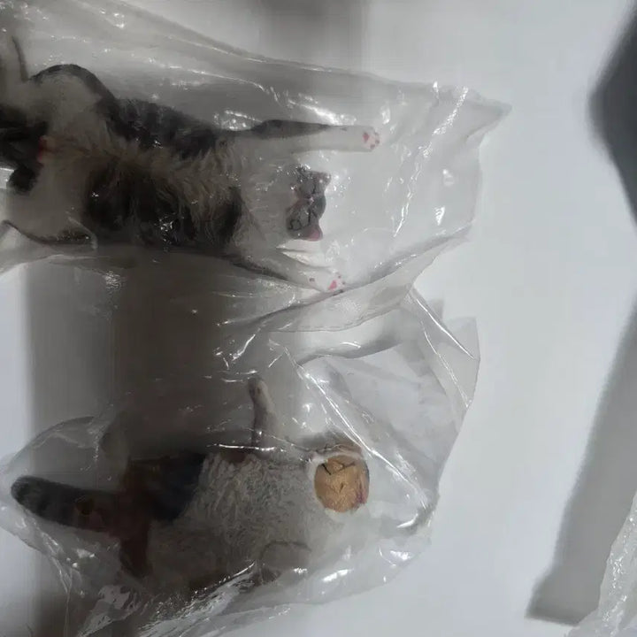 [BUNJANG] Cat Figure Bundle Set / 고양이 피규어 일괄