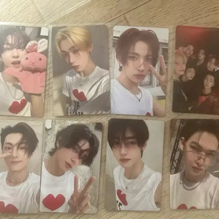 [BUNJANG] ENHYPEN Bundle Set Photocard / 엔하이픈 포카 일괄 팝니다