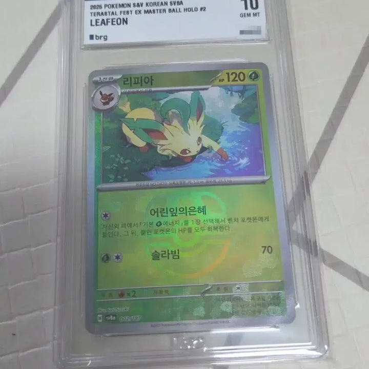 [BUNJANG] Pokemon Card Leafeon Master Ball (BRG10) / 포켓몬카드 리피아 마스터볼(brg10) 판매합니다