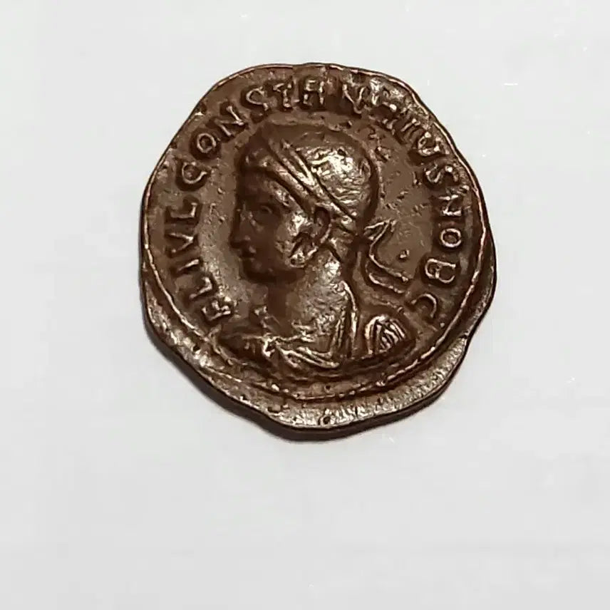 [BUNJANG] Ancient Roman Coin Set / 고대 로마 주화 동전 세트 교육 취미 수집 인테리어 소품 엔티크