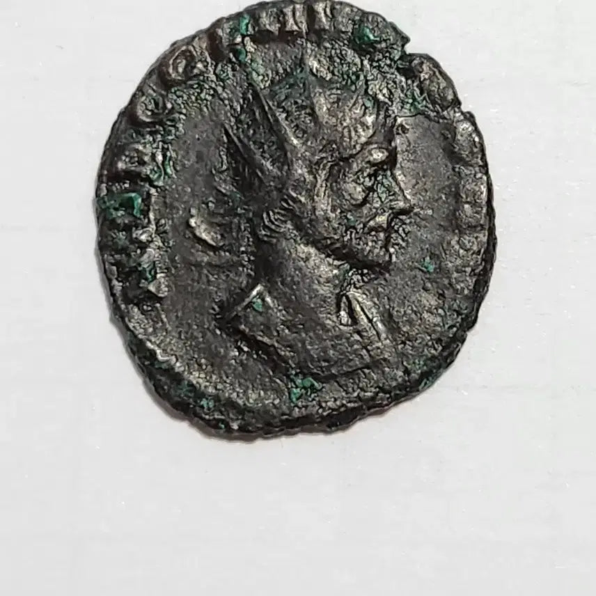[BUNJANG] Ancient Roman Coin Set / 고대 로마 주화 동전 세트 교육 취미 수집 인테리어 소품 엔티크