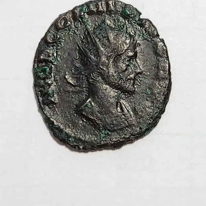 [BUNJANG] Ancient Roman Coin Set / 고대 로마 주화 동전 세트 교육 취미 수집 인테리어 소품 엔티크