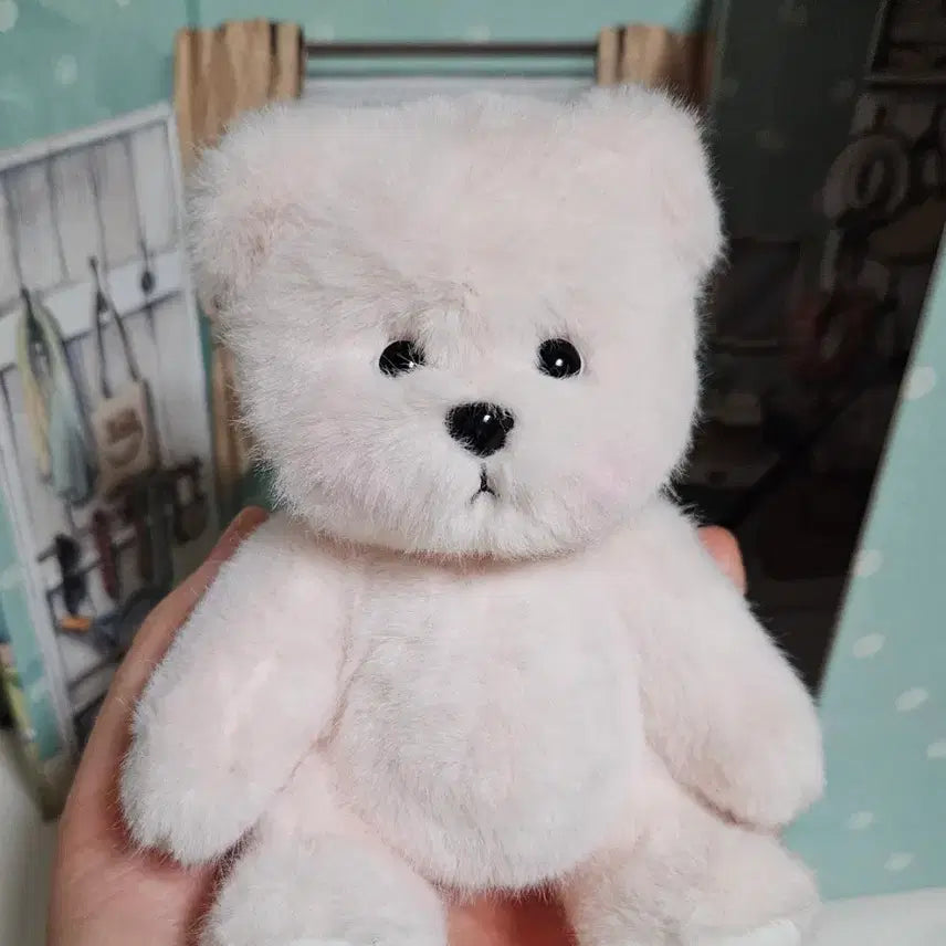 [BUNJANG] Teddy Tales Lena Bear XS Baby Pink Full Set / 테디테일즈 레나베어 xs 베이비핑크 풀셋 (쇼핑백, 엽서, 스티커 O, 띠부씰)