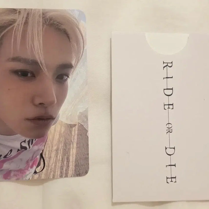 [BUNJANG] Evan Studio Photocard / 에반 공방 포카