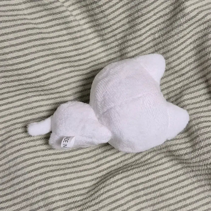 [BUNJANG] BoyNextDoor Seungho Nuppi Neko Doll / 눕삐냥 성호 성호인형 보넥도성호 보넥도 보이넥스트도어