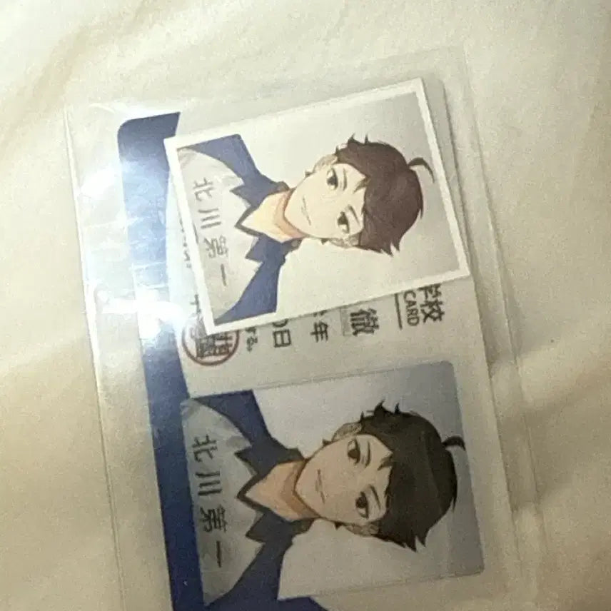 [BUNJANG] Haikyuu!! Tooru Oikawa Student ID / 리무무님 하이큐 오이카와 토오루 학생증