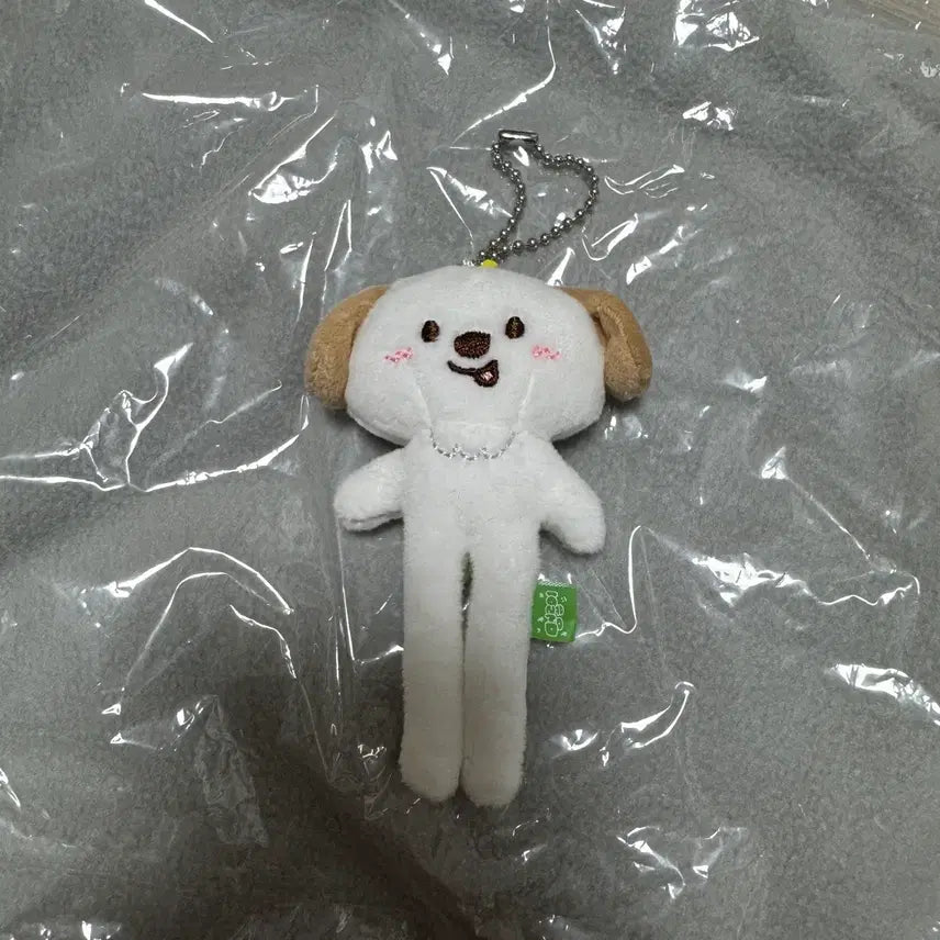 [BUNJANG] RIIZE Anton "My Pretty" Long Leg Doll / 라이즈 앤톤 리라즈 멍룡이 롱다리 인형