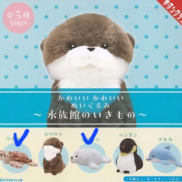 [BUNJANG] Kitan Club Aquarium Animals Gacha Bundle Set (Sea Turtle, Seal) / [미개봉, 가격내림없음] 키탄클럽 수족관 동물 가챠  일괄 판매 (바다거북이, 물범)