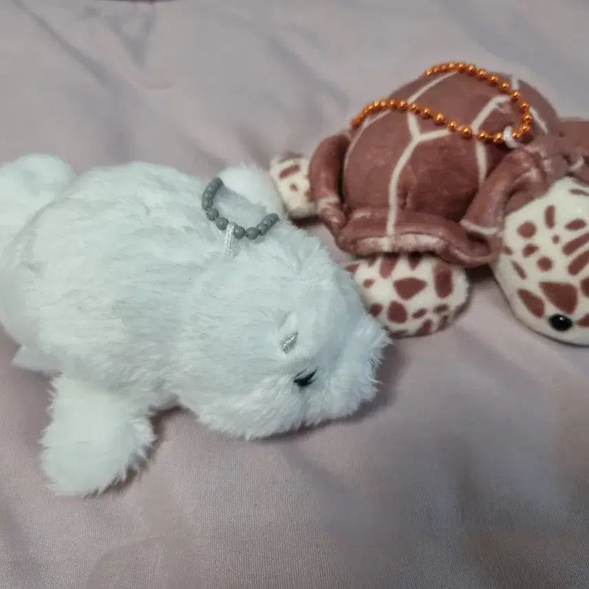 [BUNJANG] Kitan Club Aquarium Animals Gacha Bundle Set (Sea Turtle, Seal) / [미개봉, 가격내림없음] 키탄클럽 수족관 동물 가챠  일괄 판매 (바다거북이, 물범)