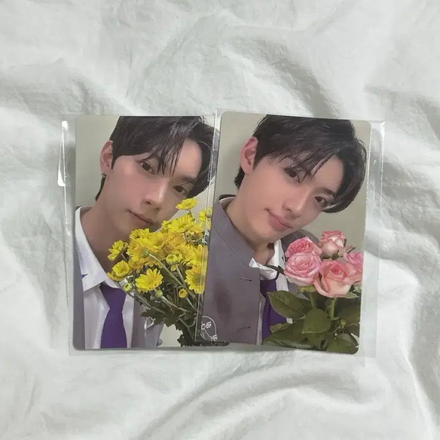 [BUNJANG] ALDI ONE Jung Sanghyun, FLARE U Choi Ripwoo Photocard Bundle Set / 알디원 정상현,플레어유 최립우 보플 포카 일괄