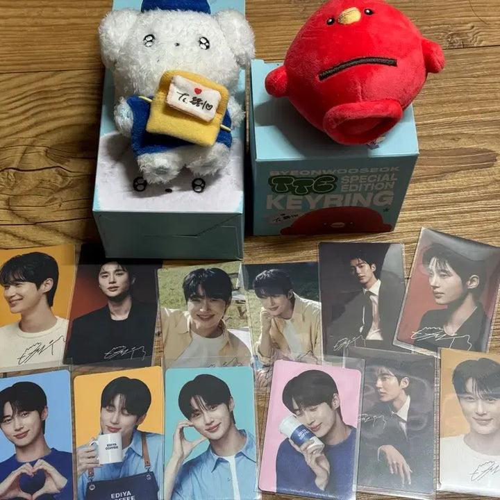[BUNJANG] Byeon Woo Seok Bundle Set Photocard / 변우석 키링 포카 일관 양도