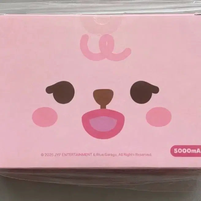 [BUNJANG] DAY6 DAY6 Petit Merz Power Bank Phil / 데이식스 쁘띠멀즈 보조배터리 필