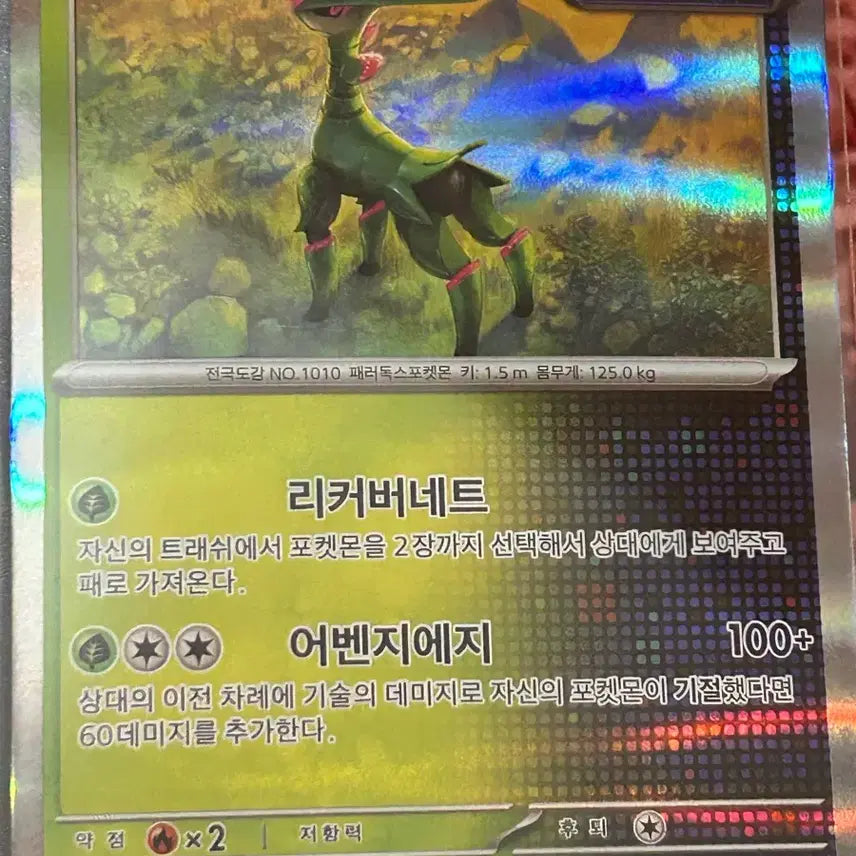 [BUNJANG] Pokemon Card Iron Leaf 007/066 R / 무쇠잎새 007/066 R  포켓몬 카드