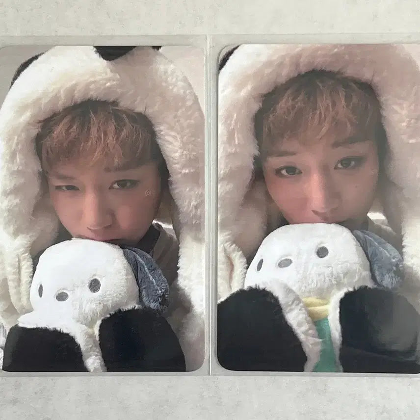 [BUNJANG] Park Jihoon x Pochacco Photocard Bundle Set (2 types) / 박지훈 포차코 미공포 2종 일괄 양도
