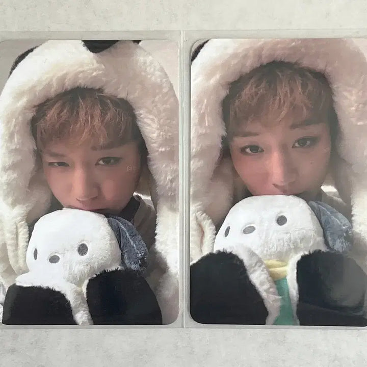[BUNJANG] Park Jihoon x Pochacco Photocard Bundle Set (2 types) / 박지훈 포차코 미공포 2종 일괄 양도