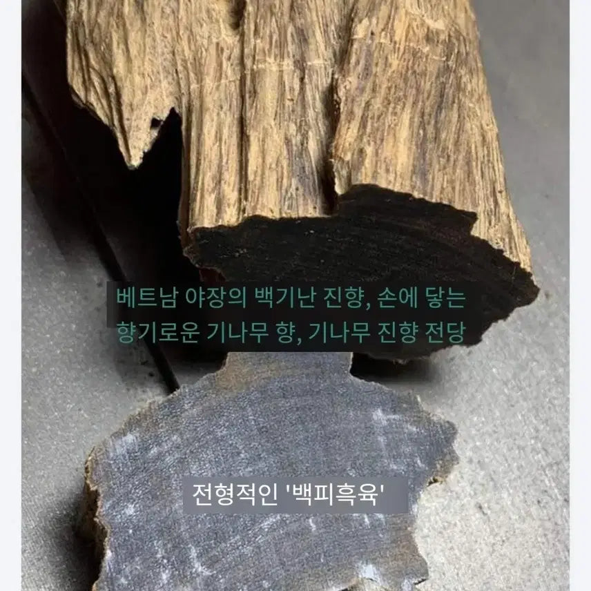 [BUNJANG] Nha Trang Agarwood (Agarwood) 10mm Bracelet / 베트남  고급 야쨩 백키난/기난 진향/침향 10mm18주