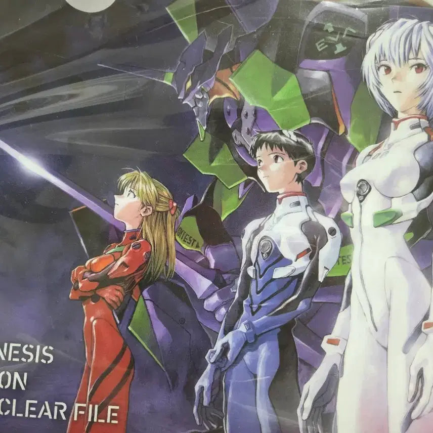 [BUNJANG] Evangelion Clear File / 에반게리온 클리어파일