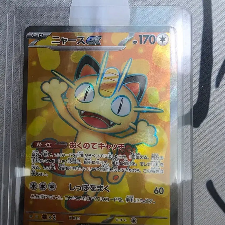 [BUNJANG] Pokemon Card Meowth EX SR (Japanese) / 포켓몬 카드 나옹 EX SR (일본판)