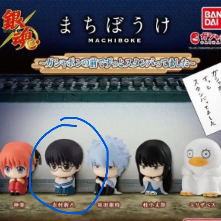 [BUNJANG] Gintama Shinpachi Machiboke Bundle Set / 은혼 신파치 가챠 일괄 판매