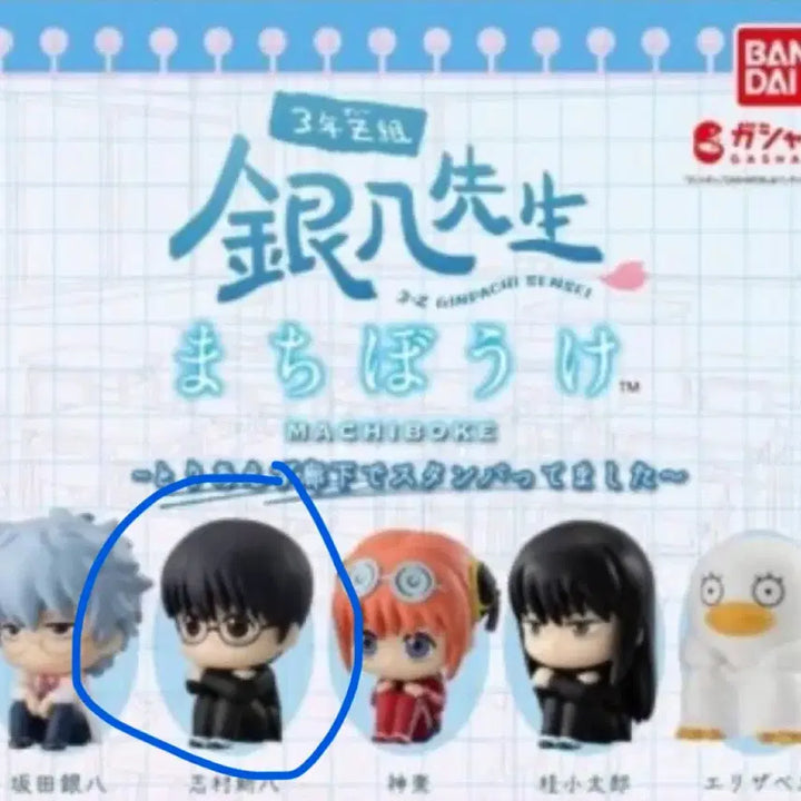 [BUNJANG] Gintama Shinpachi Machiboke Bundle Set / 은혼 신파치 가챠 일괄 판매