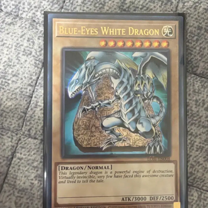 [BUNJANG] Blue-Eyes White Dragon English Edition Card / 푸른눈의백룡 영판