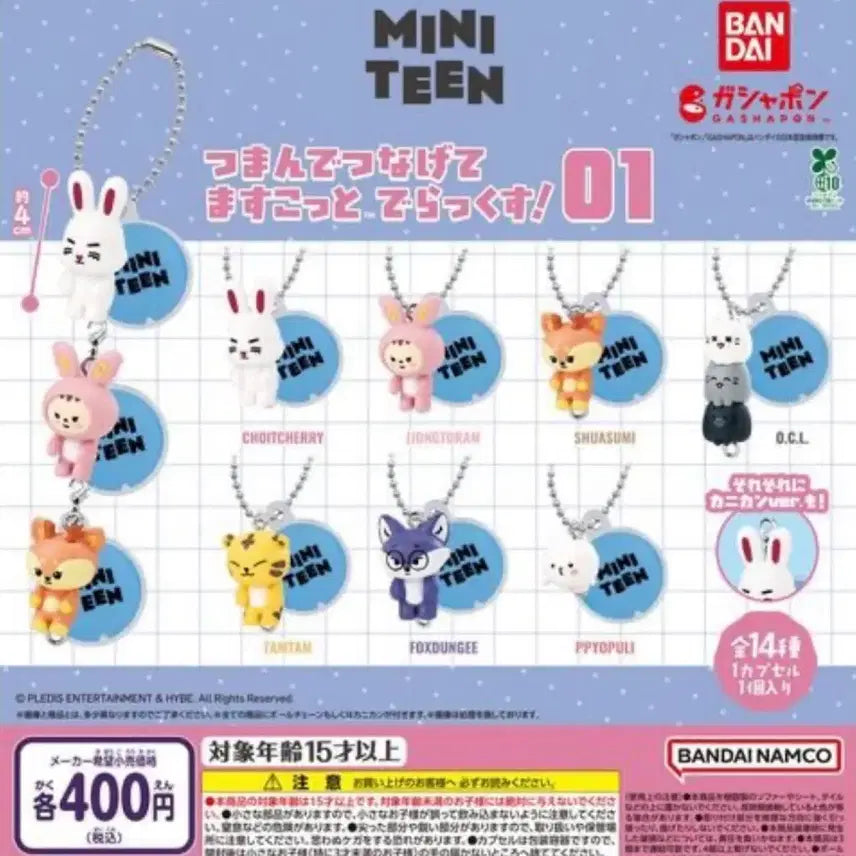 [BUNJANG] SEVENTEEN Mini Teen Jun Sealed Gacha / 세븐틴 미니틴 가챠 준 열닫잠